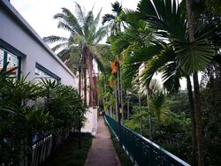 Summerhill (D21), Condominium #577263561